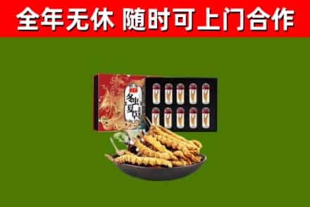 阿合奇县回收冬虫夏草价格
