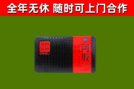 阿合奇县回收阿胶